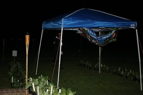 405715 274601055944287 610037131 n